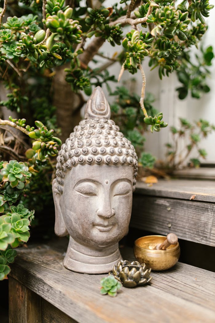 Buddha statue surrounded by lush greenery and meditative objects, ideal for peaceful garden themes.